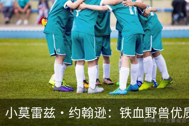 小莫雷兹·约翰逊：铁血野兽优质冠军拼图 开发三分顺位直逼乐透